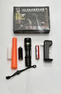 LED Torch Light (Battery Type)