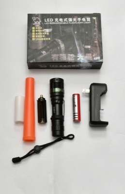 LED Torch Light (Chargeable)