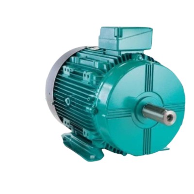 3 Phase Induction Motor