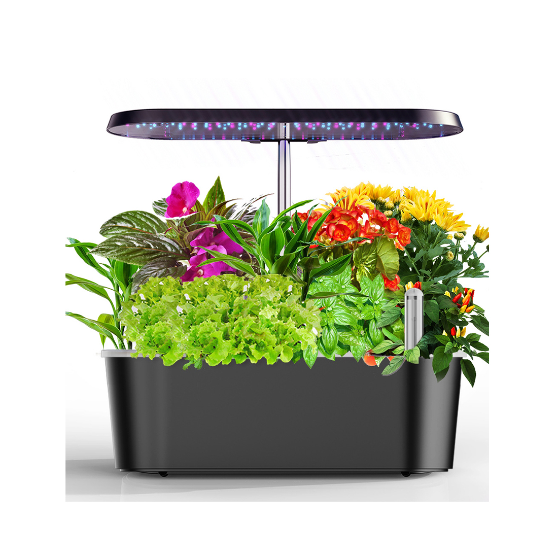 Indoor Green Garden Planter