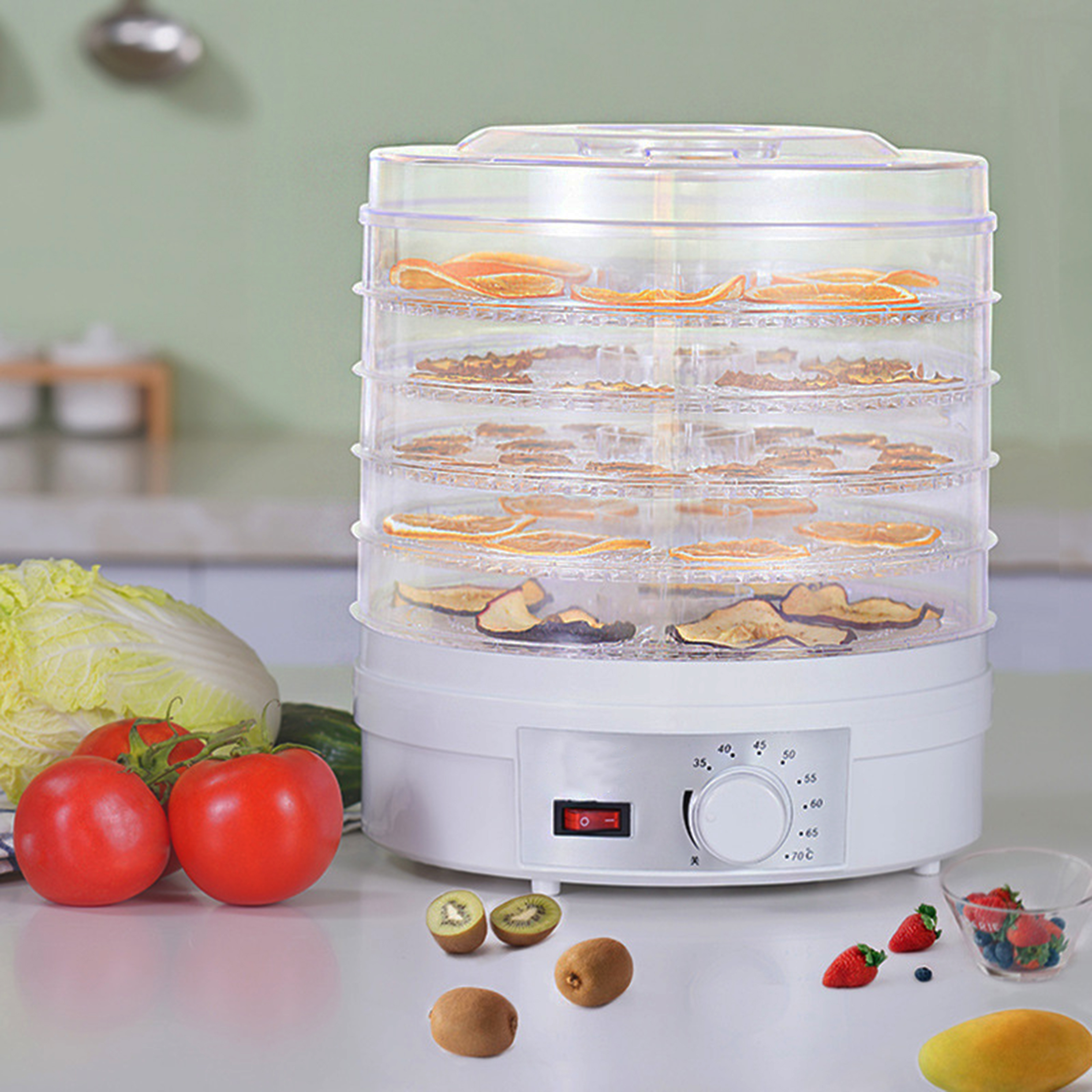 Food Dehydrator Machine