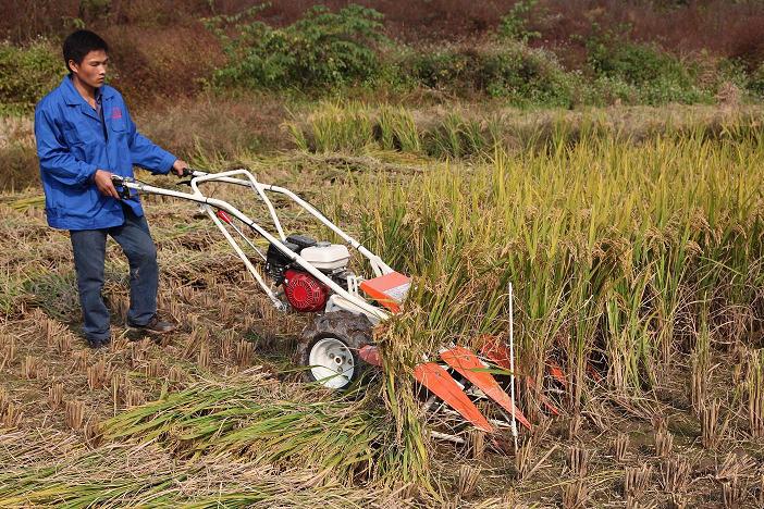 TNS-4S-120 gasoline windrower