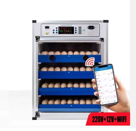 Egg incubator 